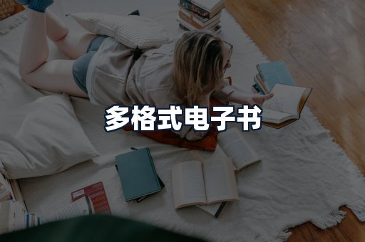 多格式电子书